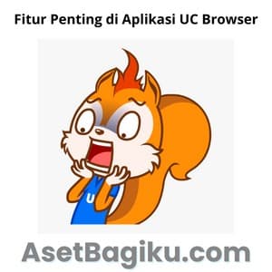 Fitur Penting di Aplikasi UC Browser